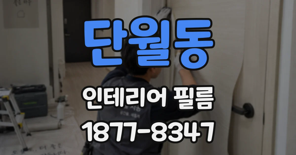 단월동 인테리어 필름