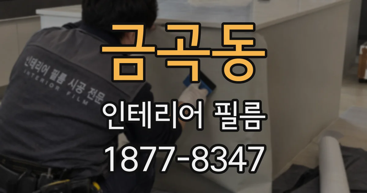 금곡동 인테리어 필름