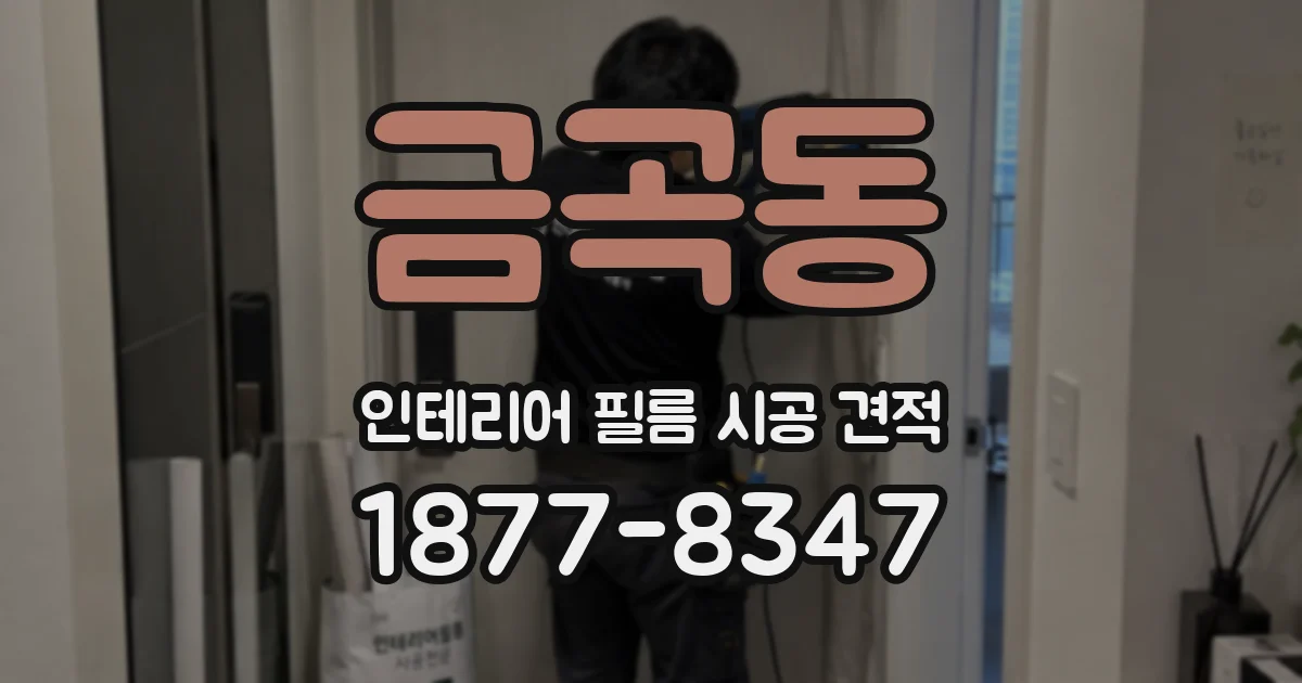 금곡동 인테리어 필름 시공 견적