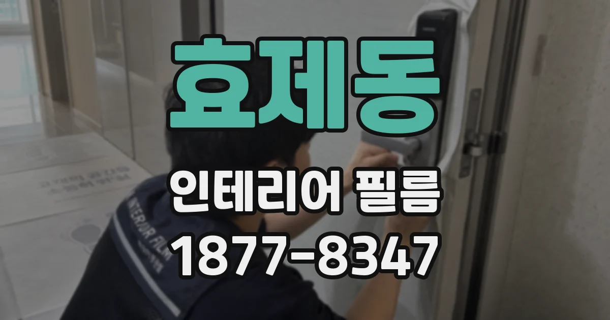 효제동 인테리어 필름
