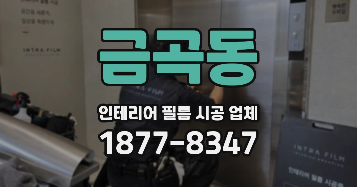 금곡동 인테리어 필름 시공 업체