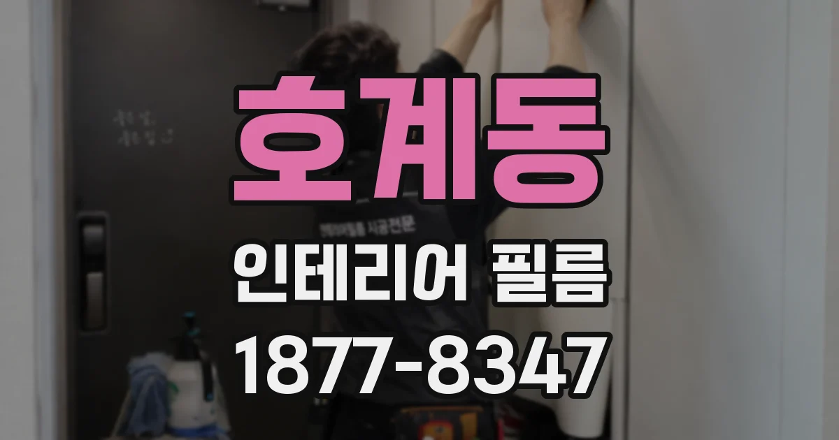호계동 인테리어 필름