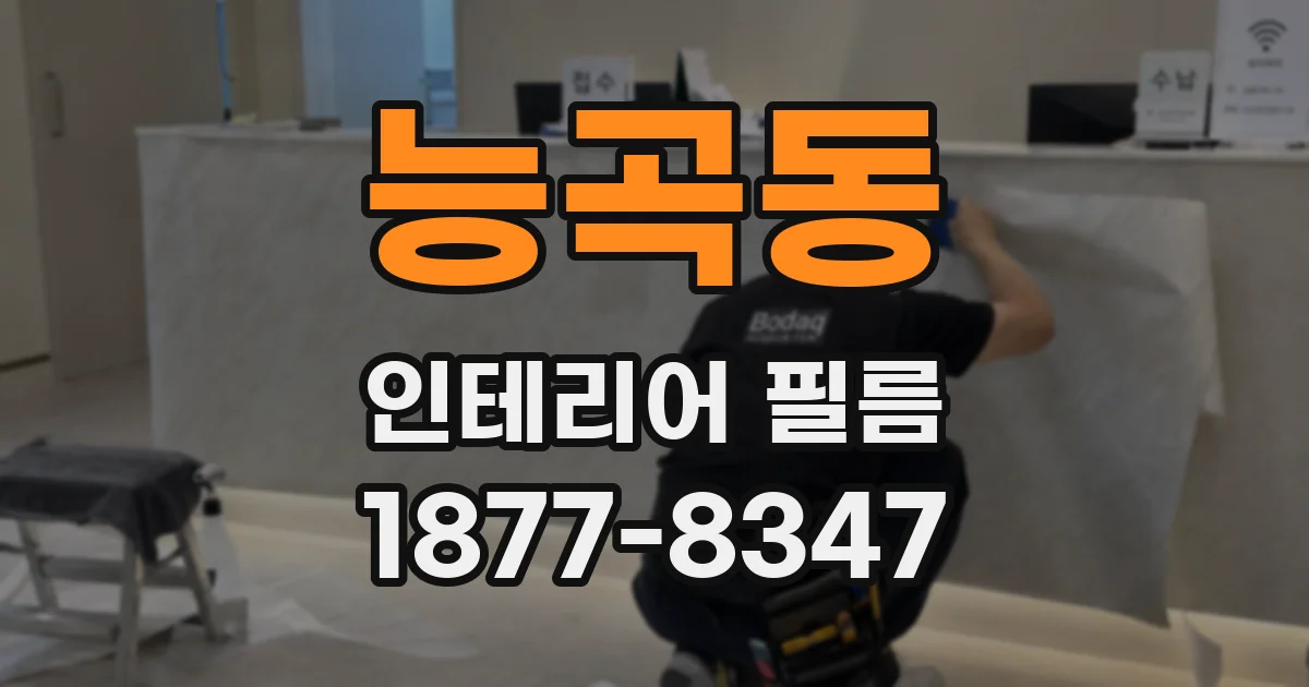 능곡동 인테리어 필름
