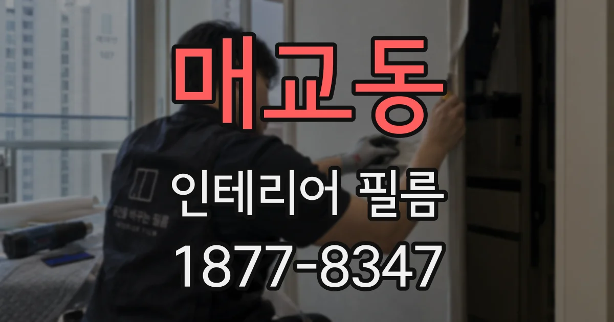 매교동 인테리어 필름