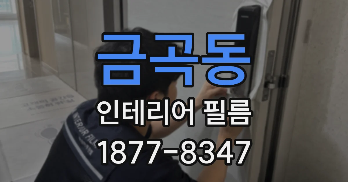 금곡동 인테리어 필름