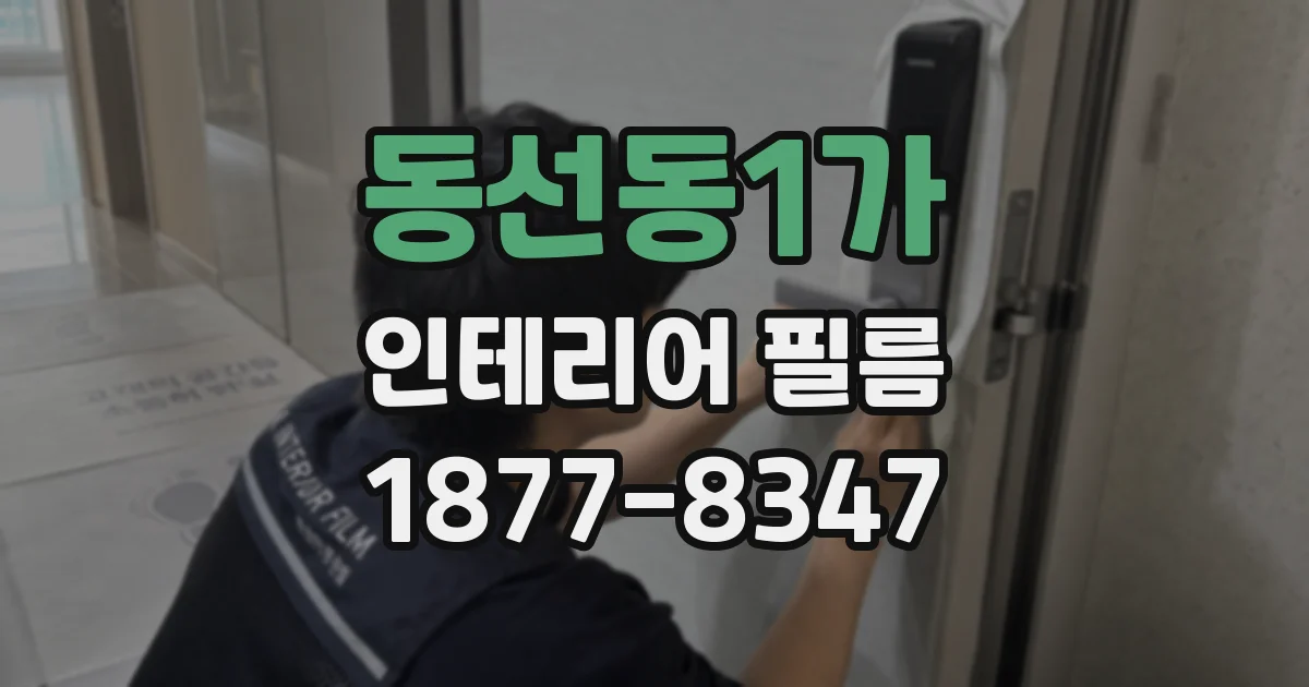 동선동1가 인테리어 필름