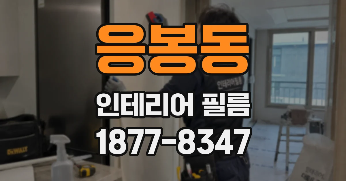 응봉동 인테리어 필름