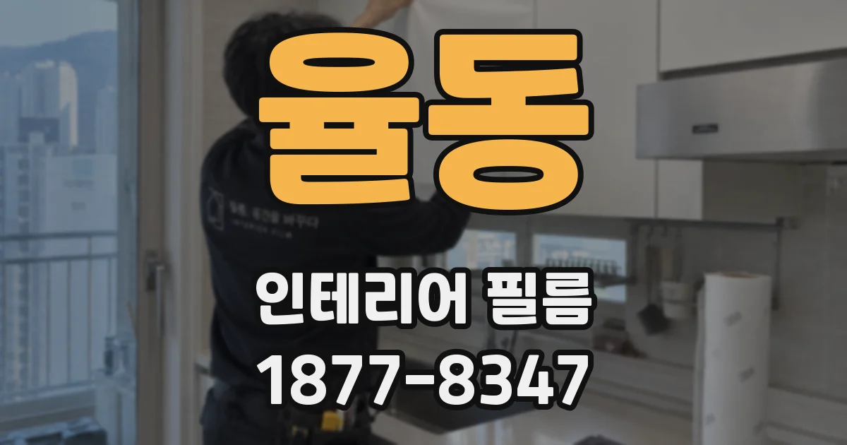 율동 인테리어 필름
