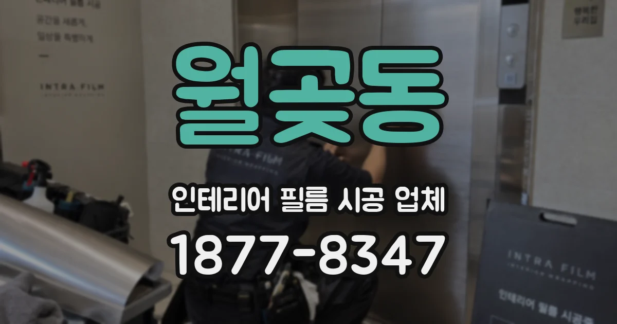 월곶동 인테리어 필름 시공 업체