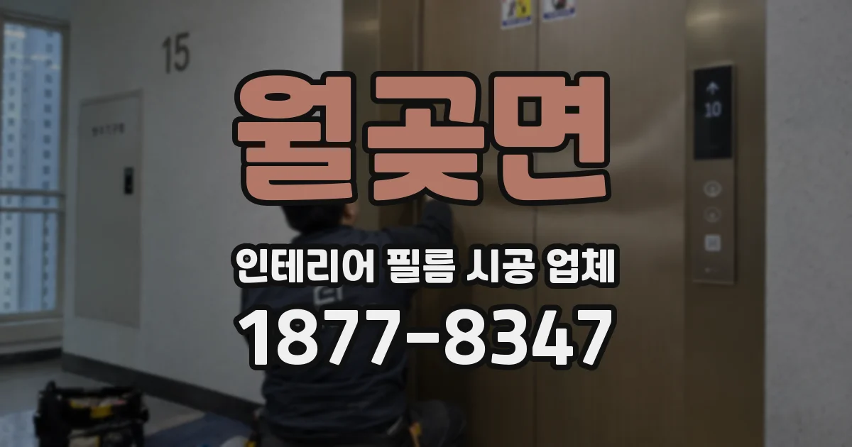 월곶면 인테리어 필름 시공 업체