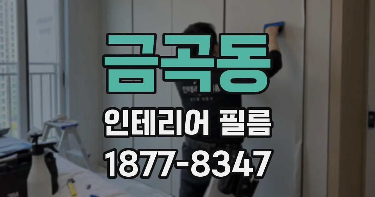 금곡동 인테리어 필름
