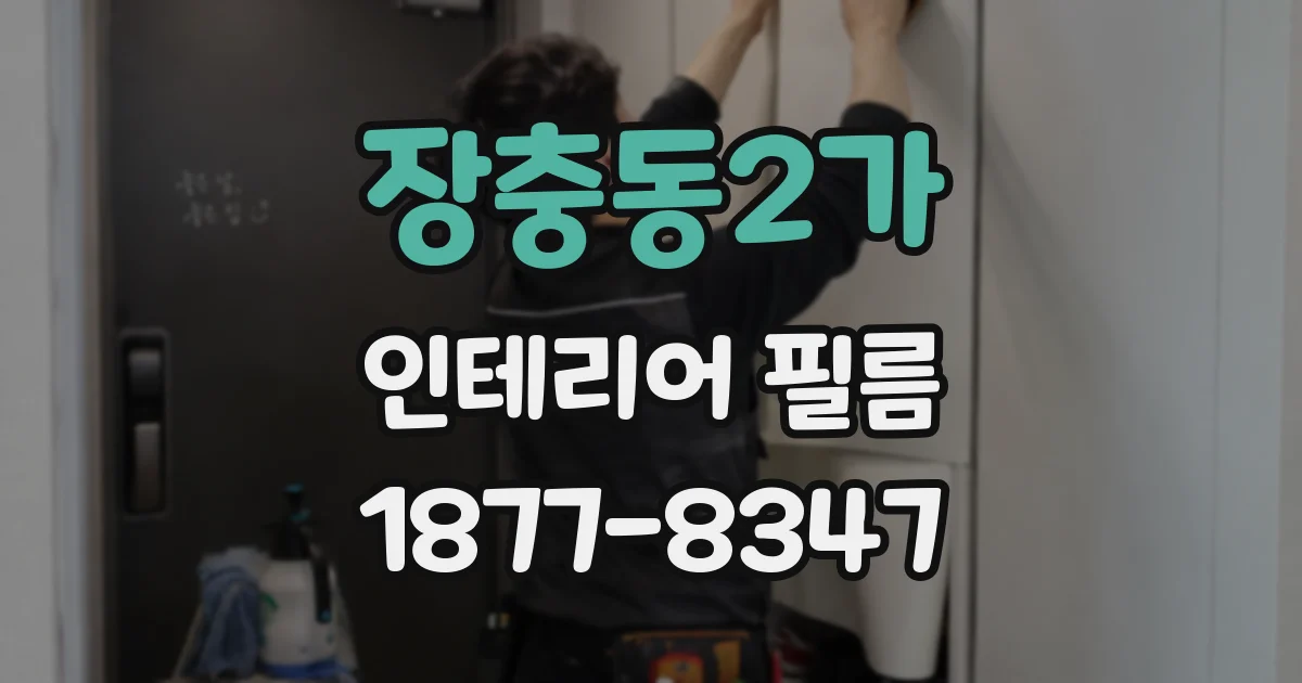 장충동2가 인테리어 필름