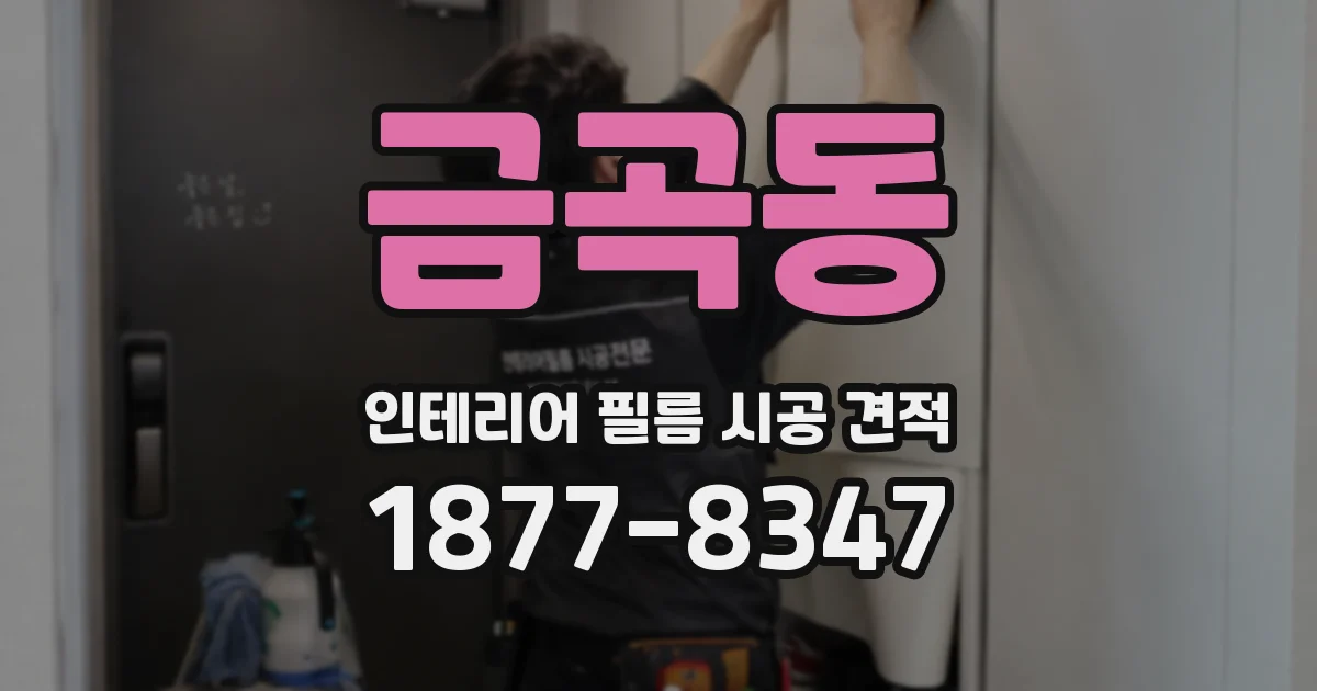 금곡동 인테리어 필름 시공 견적