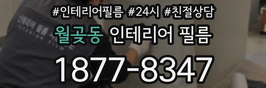 월곶동 인테리어 필름