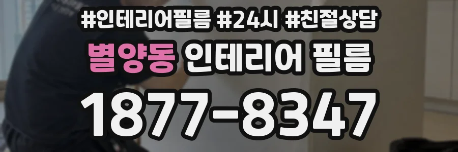 별양동 인테리어 필름