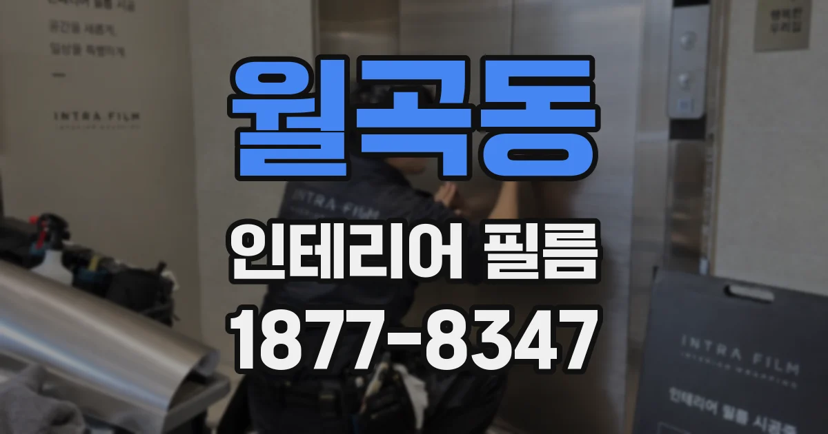 월곡동 인테리어 필름