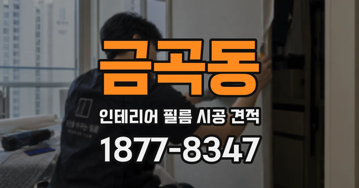 금곡동 인테리어 필름 시공 견적