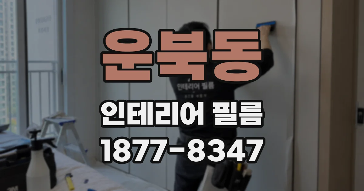 운북동 인테리어 필름