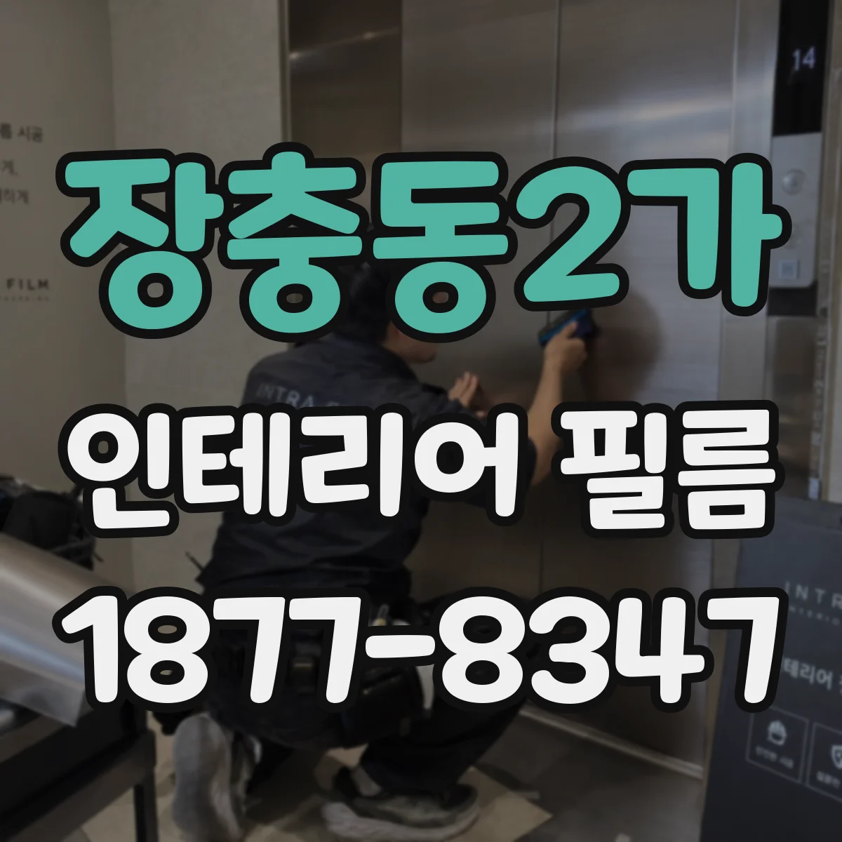 장충동2가 인테리어 필름