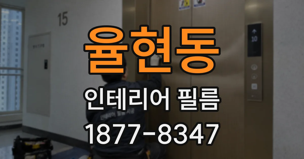율현동 인테리어 필름