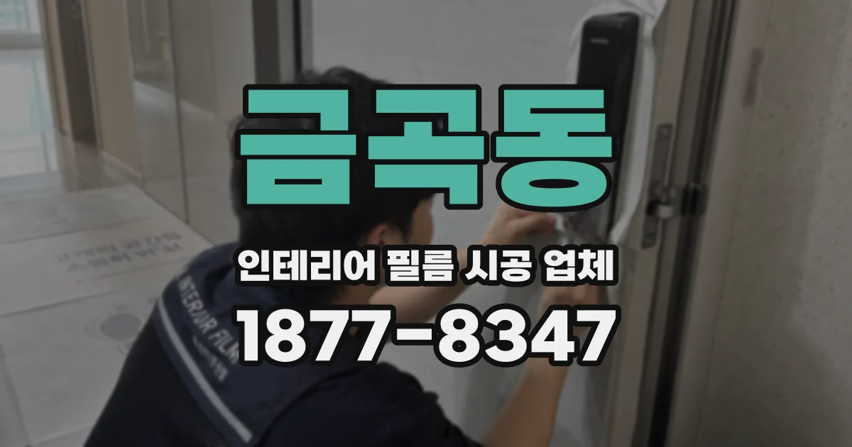금곡동 인테리어 필름 시공 업체