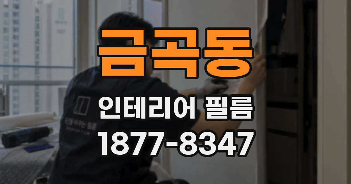 금곡동 인테리어 필름