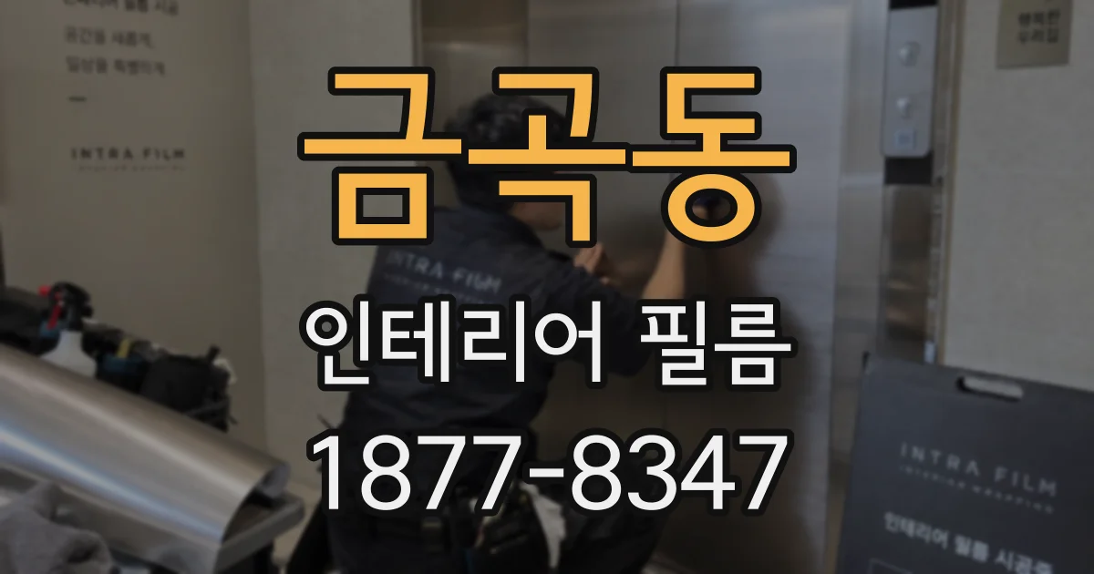 금곡동 인테리어 필름