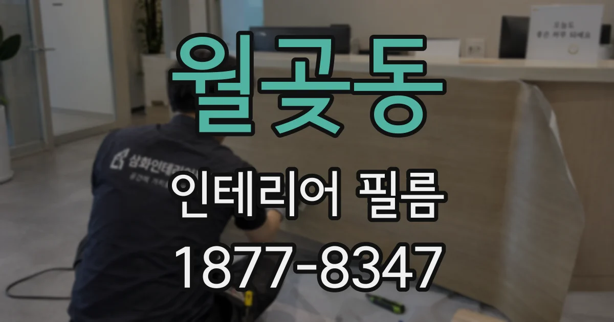 월곶동 인테리어 필름