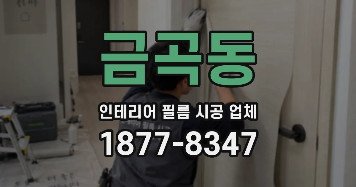 금곡동 인테리어 필름 시공 업체