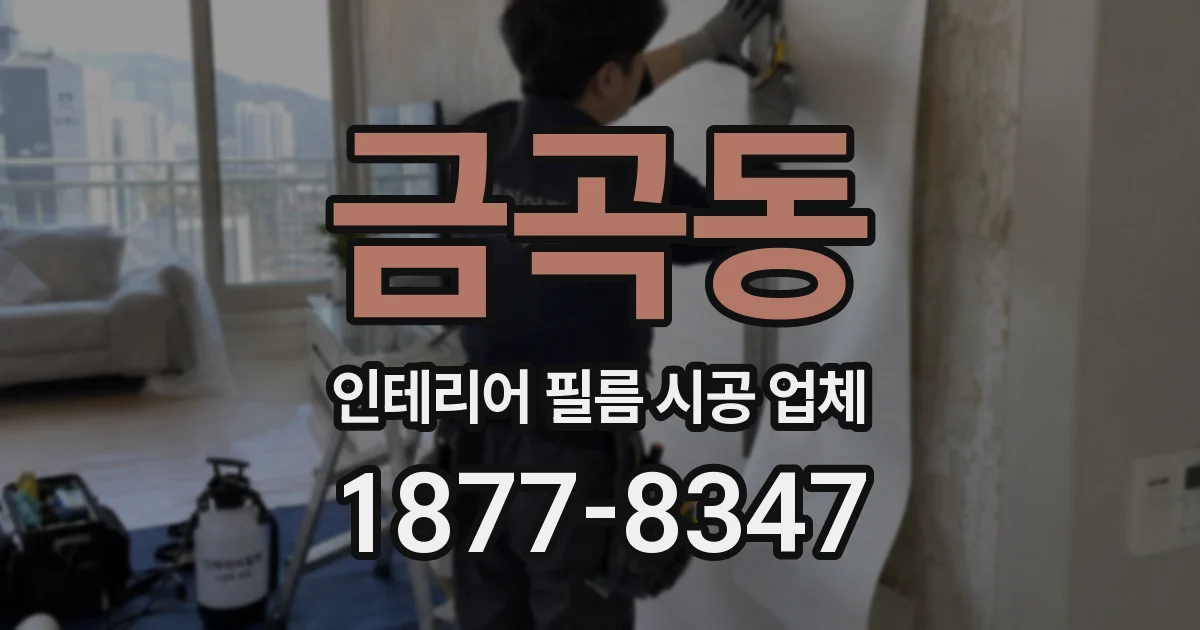 금곡동 인테리어 필름 시공 업체