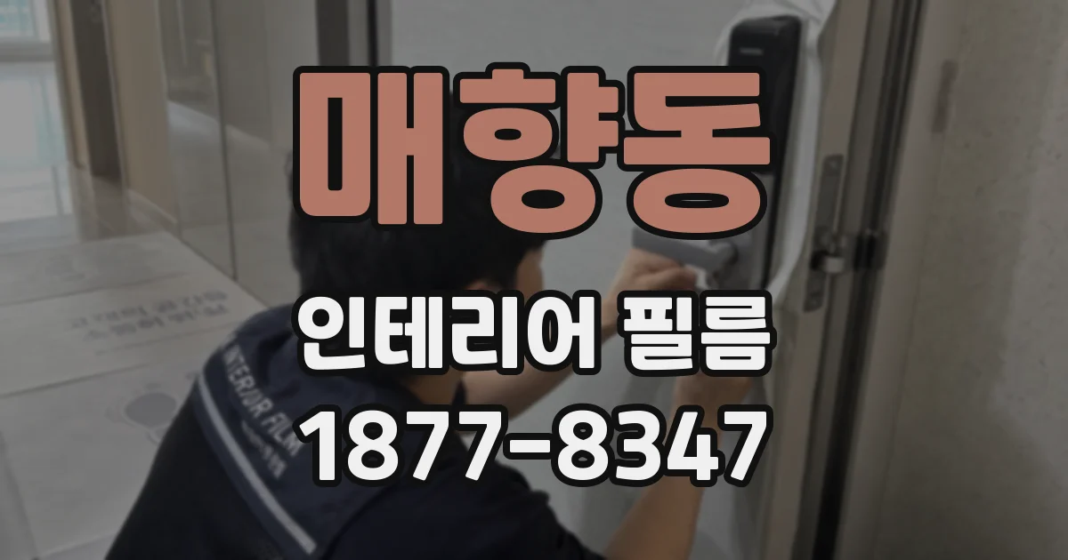 매향동 인테리어 필름