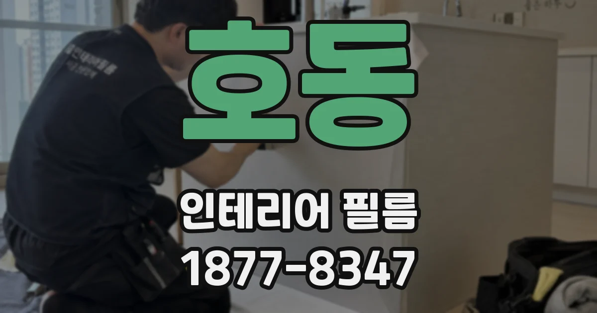호동 인테리어 필름
