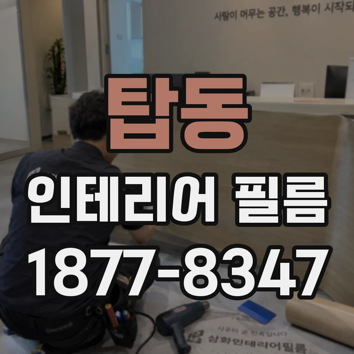 탑동 인테리어 필름