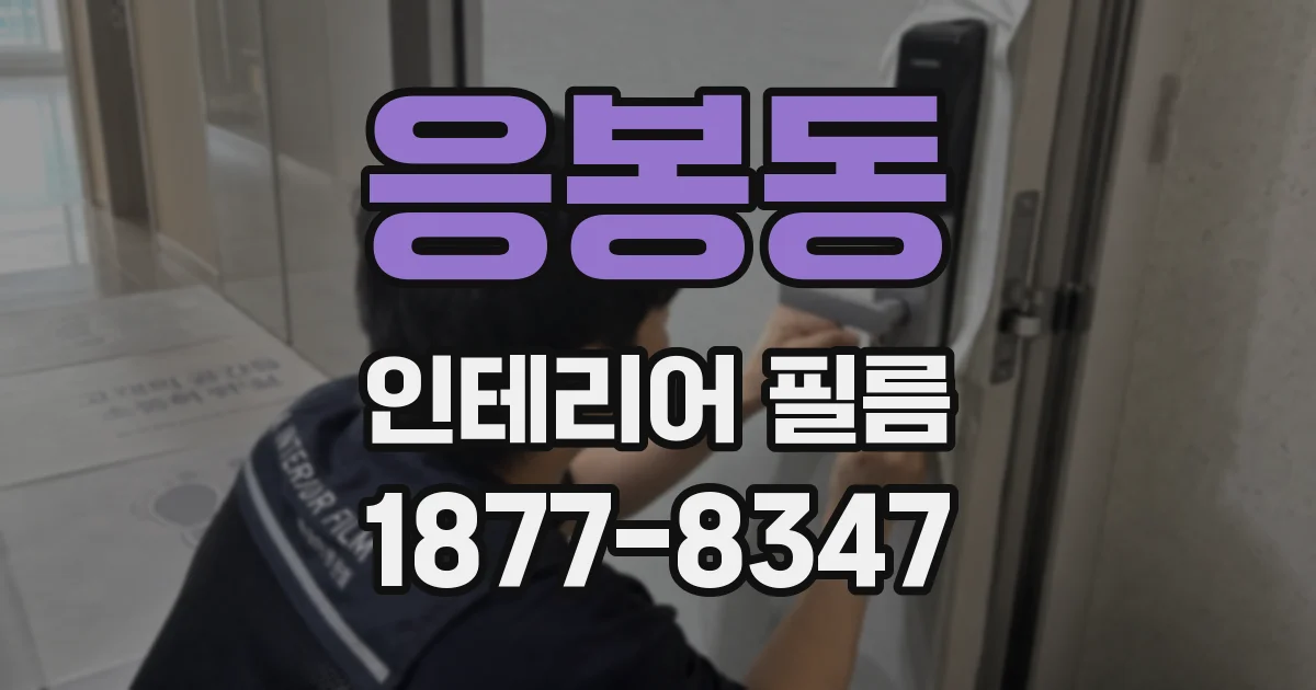 응봉동 인테리어 필름