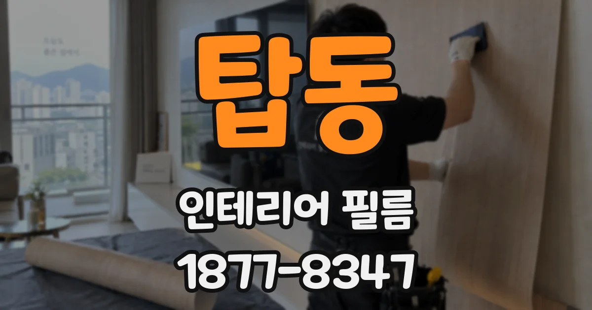 탑동 인테리어 필름