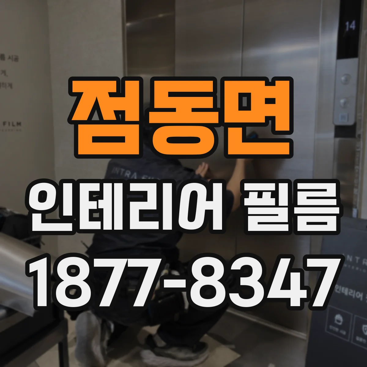 점동면 인테리어 필름