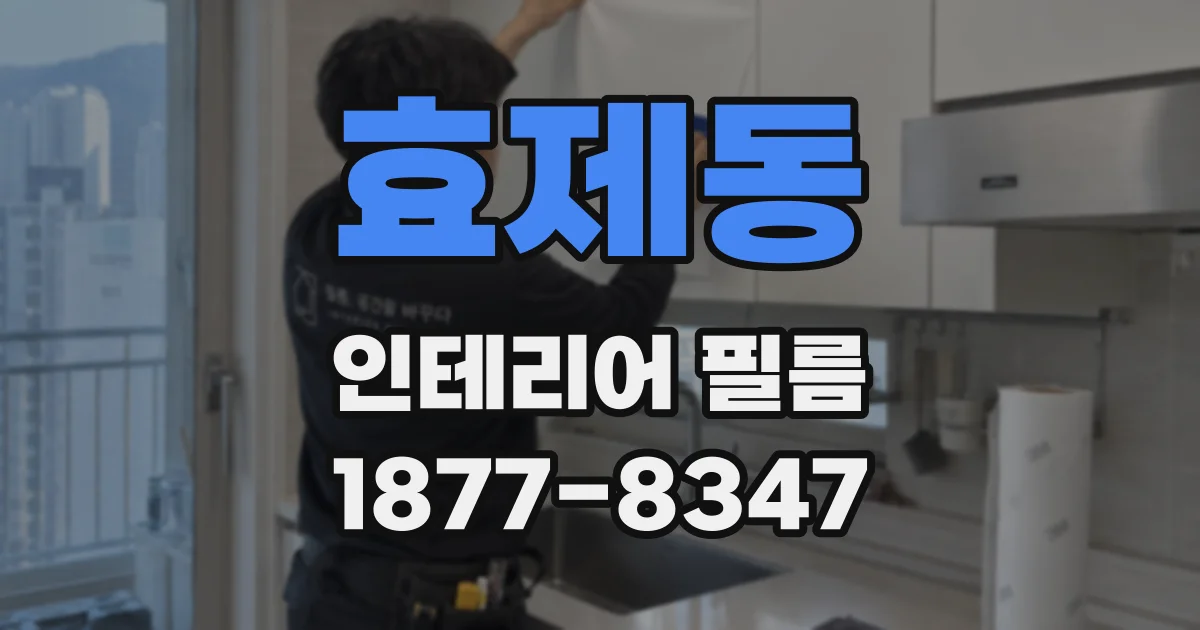 효제동 인테리어 필름