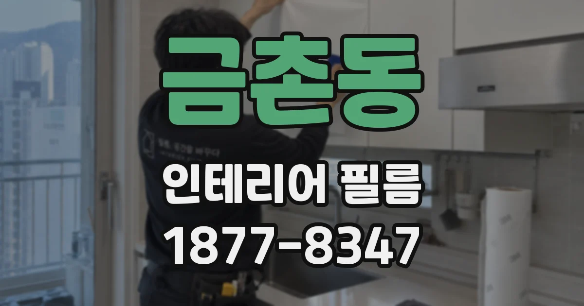 금촌동 인테리어 필름