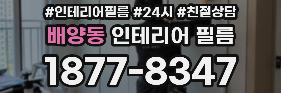배양동 인테리어 필름