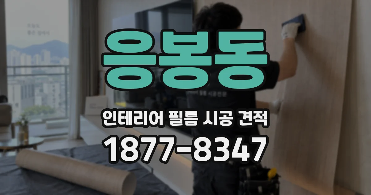 응봉동 인테리어 필름 시공 견적