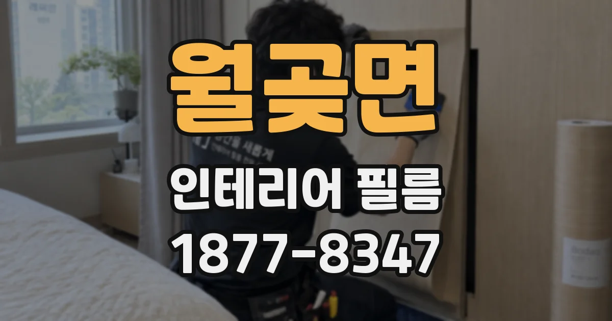 월곶면 인테리어 필름