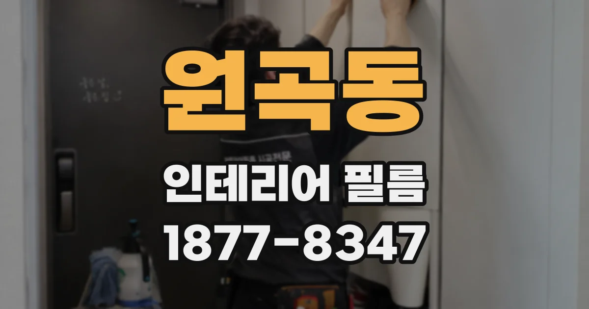원곡동 인테리어 필름
