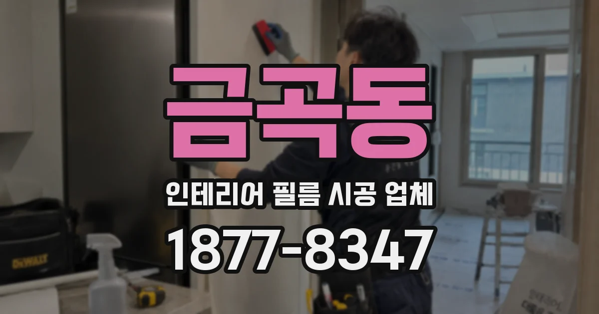 금곡동 인테리어 필름 시공 업체