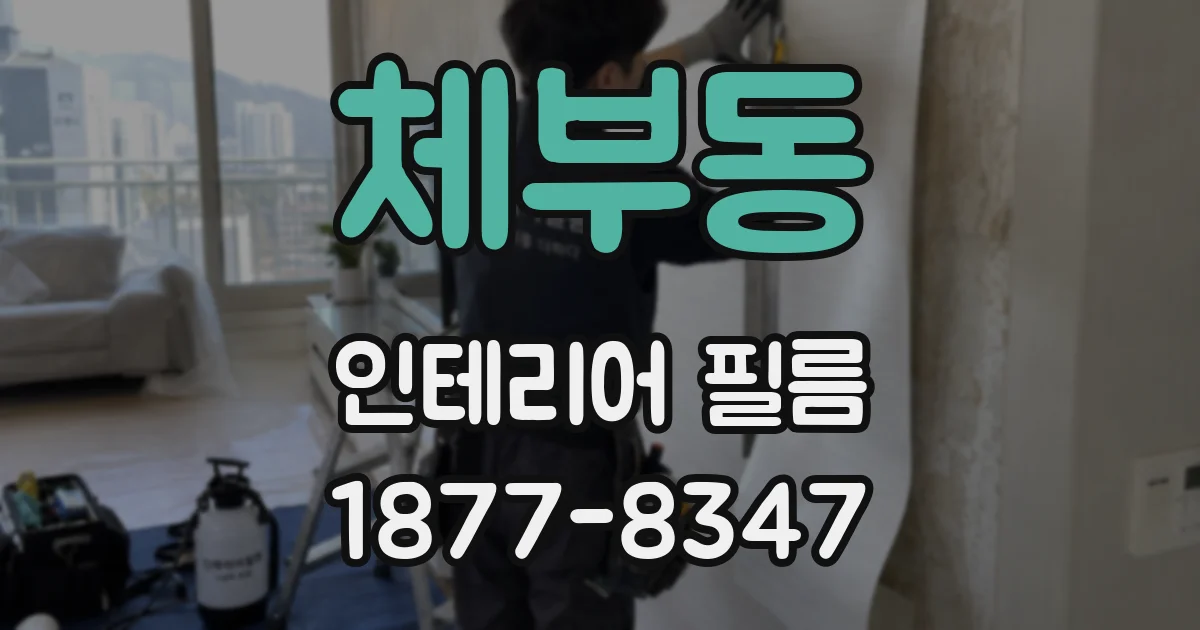 체부동 인테리어 필름