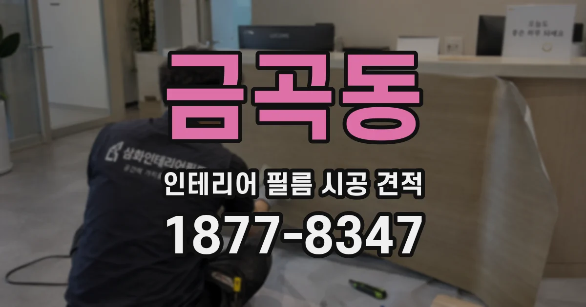 금곡동 인테리어 필름 시공 견적