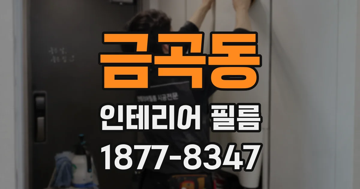 금곡동 인테리어 필름