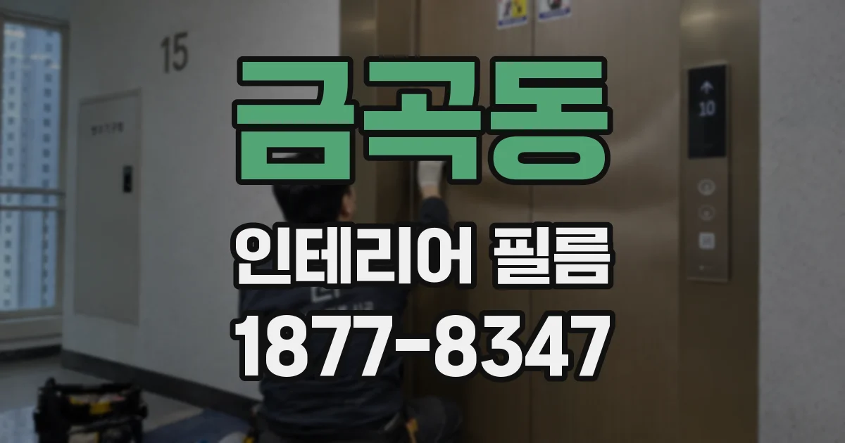 금곡동 인테리어 필름