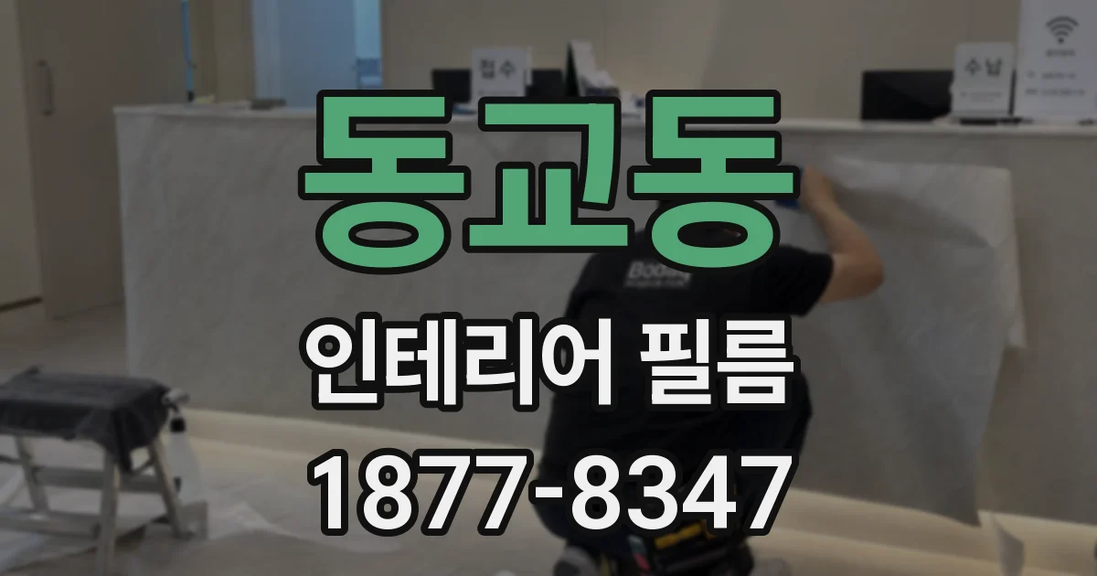 동교동 인테리어 필름
