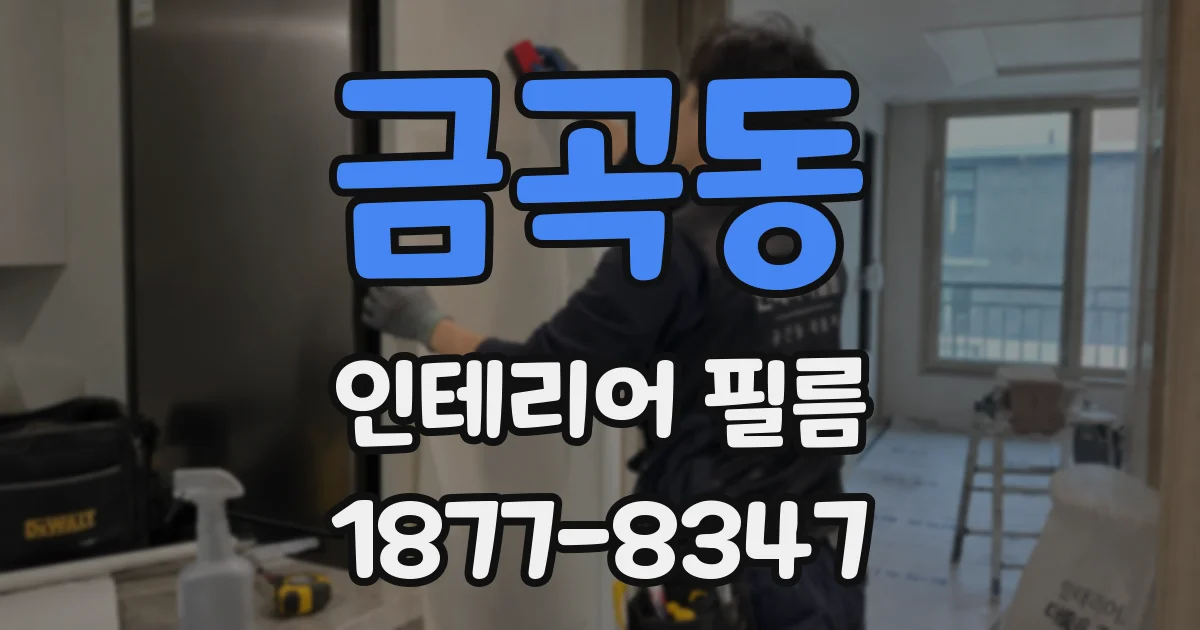 금곡동 인테리어 필름