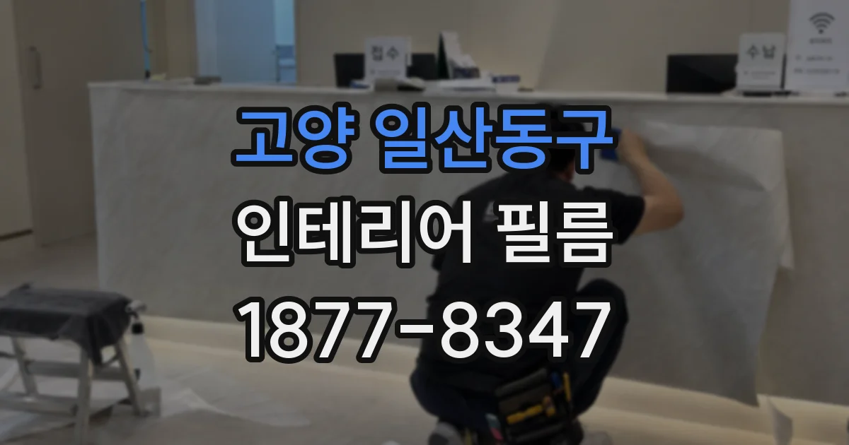 고양 일산동구 인테리어 필름